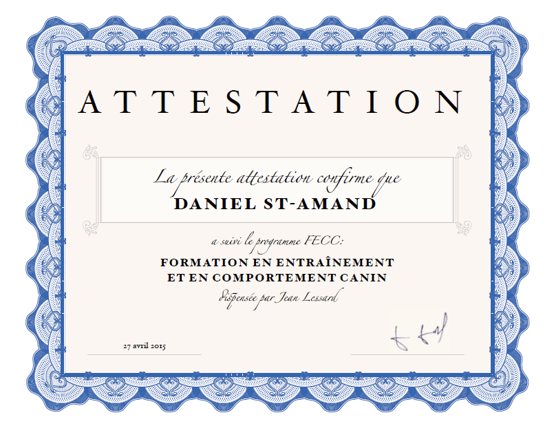 Daniel St-Amand - Attestation FECC